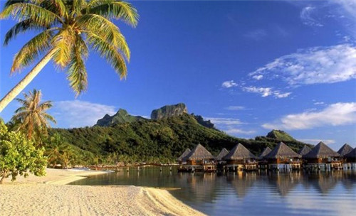 花生种业公司起名大全（花生种子公司）