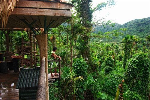 快手小店如何查评价回复（快手小店的评论怎么看）